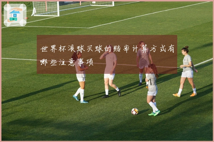 世界杯滚球买球的赔率计算方式有哪些注意事项