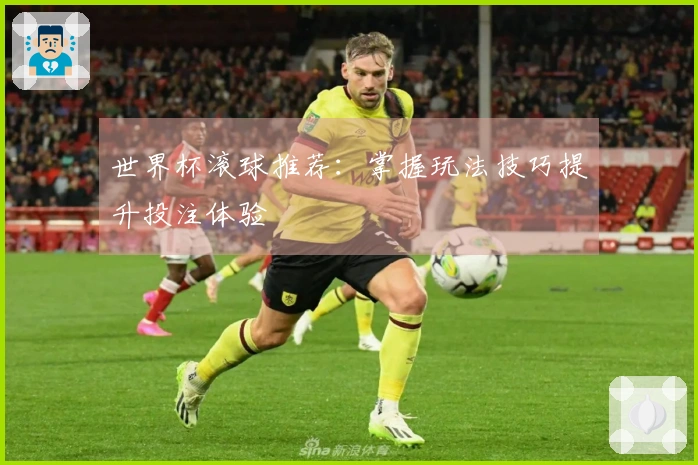 世界杯滚球推荐：掌握玩法技巧提升投注体验