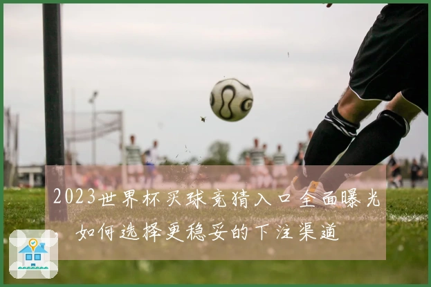 2023世界杯买球竞猜入口全面曝光，如何选择更稳妥的下注渠道