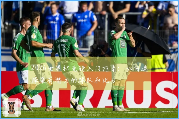 2026世界杯竞猜入门指南：如何选择最有潜力的球队和比分