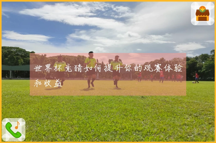 世界杯竞猜如何提升你的观赛体验和收益