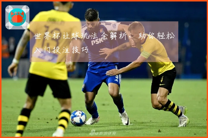 世界杯让球玩法全解析，助你轻松入门投注技巧