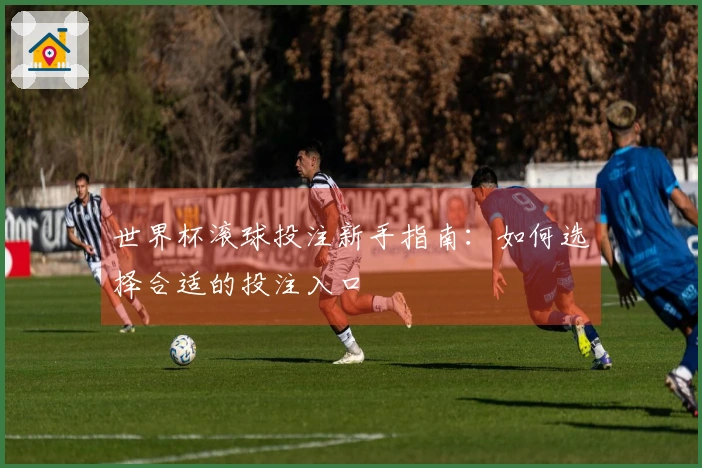 世界杯滚球投注新手指南：如何选择合适的投注入口