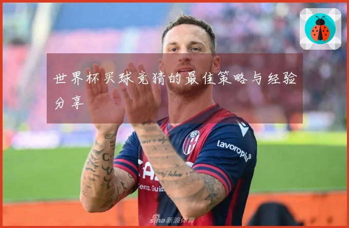 世界杯买球竞猜的最佳策略与经验分享