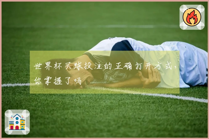世界杯买球投注的正确打开方式，你掌握了吗