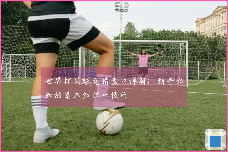 世界杯买球竞猜盘口详解：新手必知的基本知识和技巧