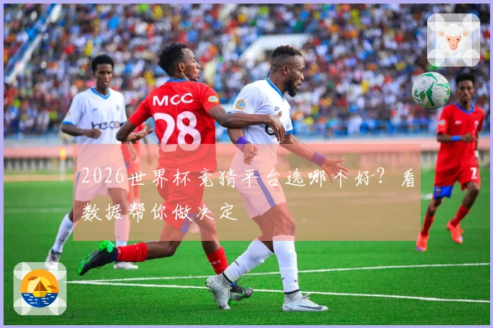 2026世界杯竞猜平台选哪个好？看数据帮你做决定