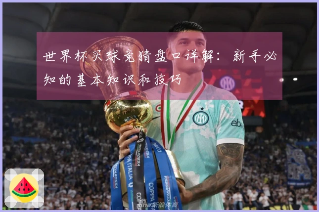 世界杯买球竞猜盘口详解：新手必知的基本知识和技巧