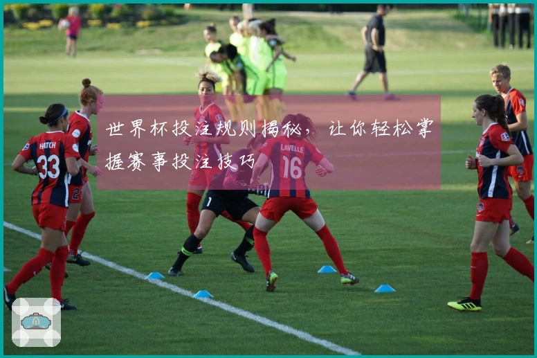 世界杯投注规则揭秘，让你轻松掌握赛事投注技巧