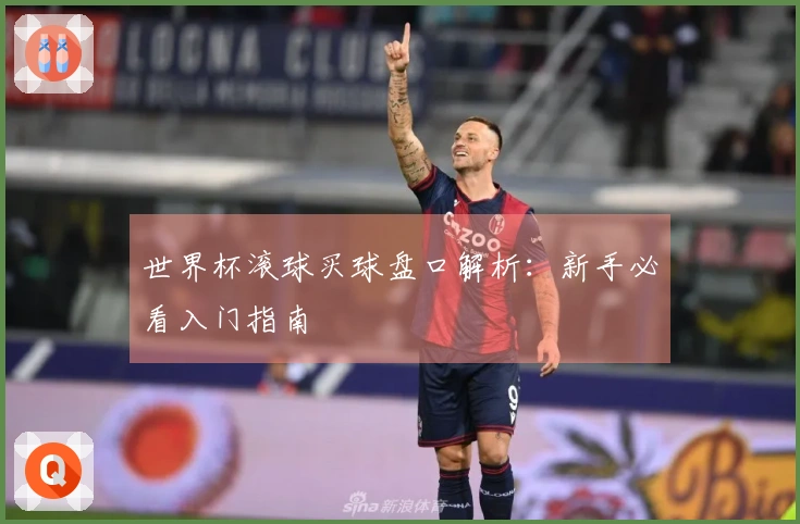 世界杯滚球买球盘口解析：新手必看入门指南