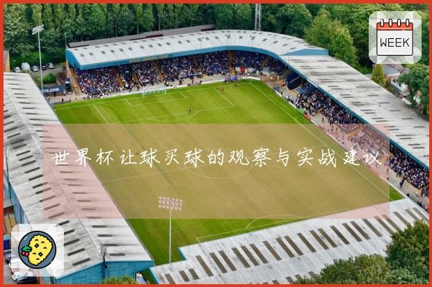 世界杯让球买球的观察与实战建议