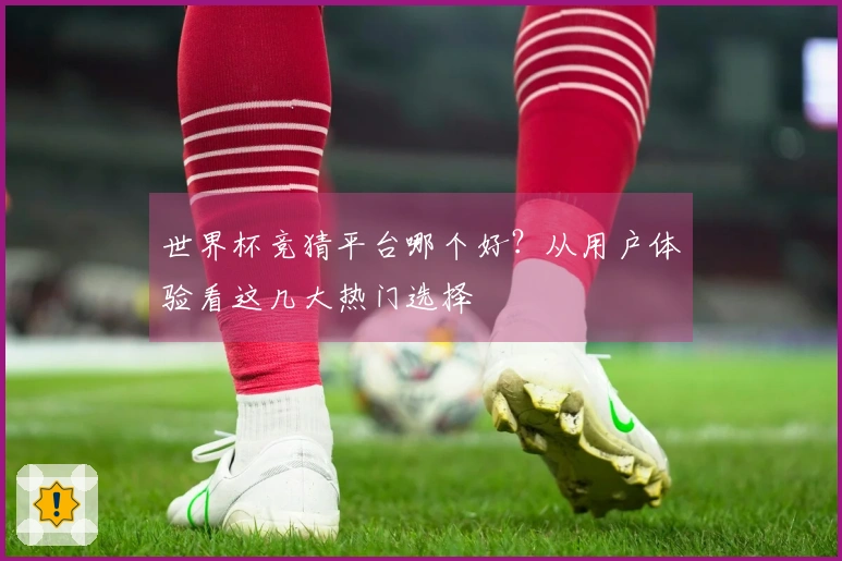 世界杯竞猜平台哪个好？从用户体验看这几大热门选择