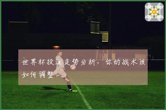 世界杯投注走势分析，你的战术该如何调整