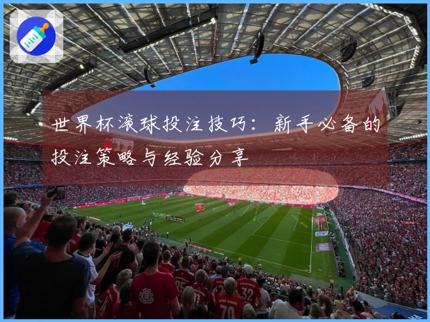 世界杯滚球投注技巧：新手必备的投注策略与经验分享
