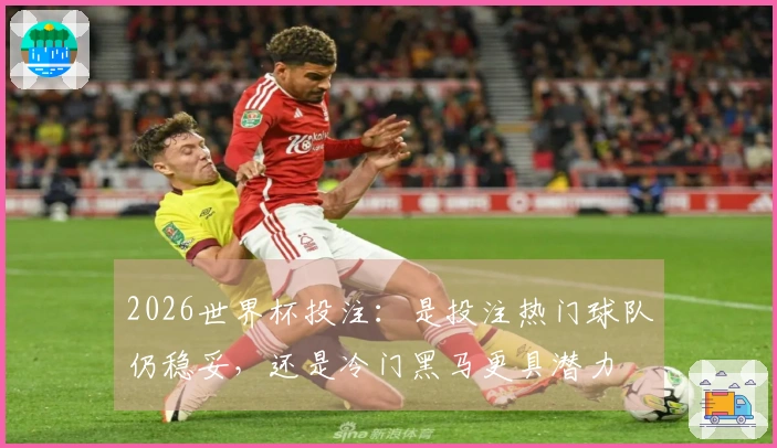 2026世界杯投注：是投注热门球队仍稳妥，还是冷门黑马更具潜力