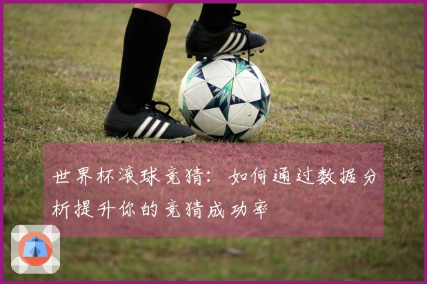 世界杯滚球竞猜：如何通过数据分析提升你的竞猜成功率