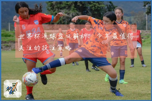 世界杯滚球盘口解析：今年最值得关注的投注策略