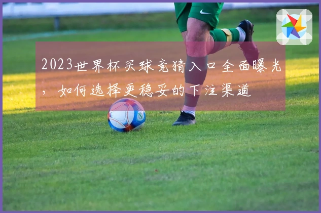 2023世界杯买球竞猜入口全面曝光，如何选择更稳妥的下注渠道