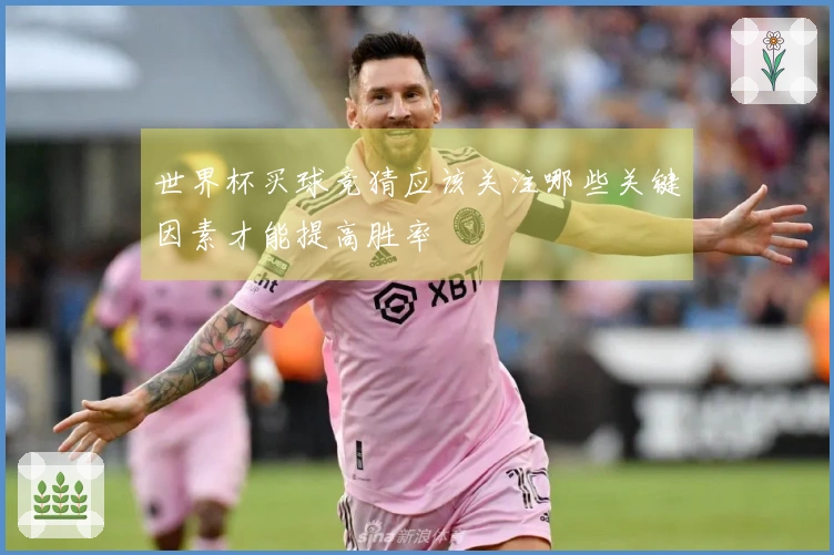 世界杯买球竞猜应该关注哪些关键因素才能提高胜率