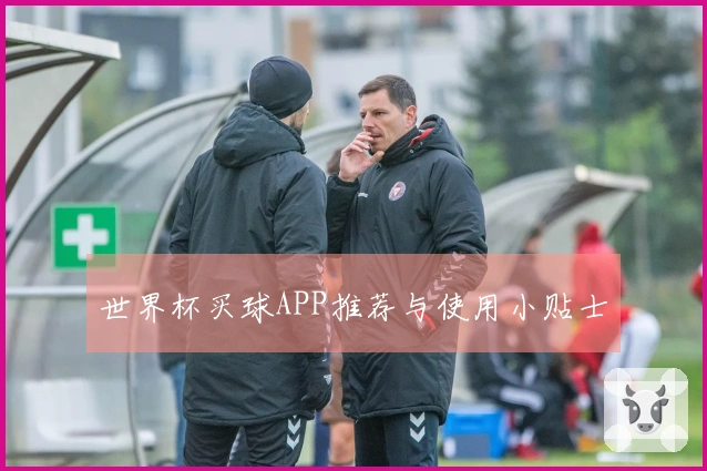 世界杯买球APP推荐与使用小贴士