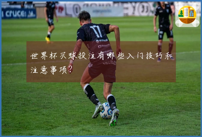 世界杯买球投注有哪些入门技巧和注意事项？