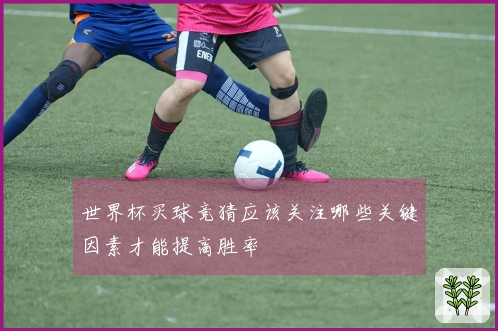 世界杯买球竞猜应该关注哪些关键因素才能提高胜率