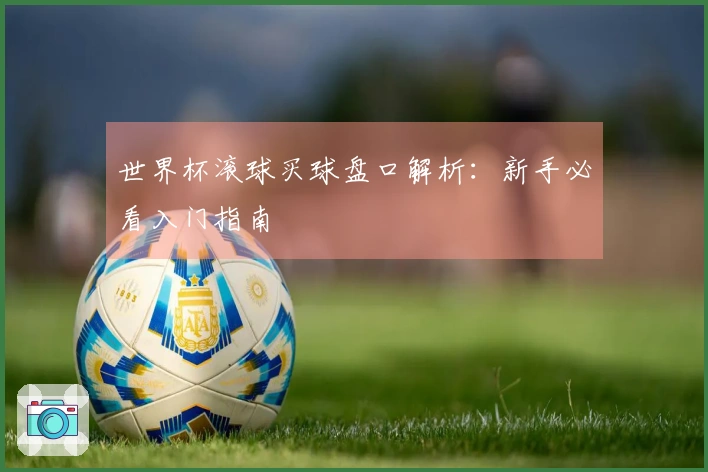 世界杯滚球买球盘口解析：新手必看入门指南
