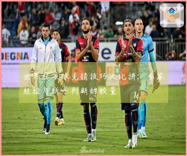 世界杯滚球竞猜技巧大比拼：专家经验与新手判断的较量