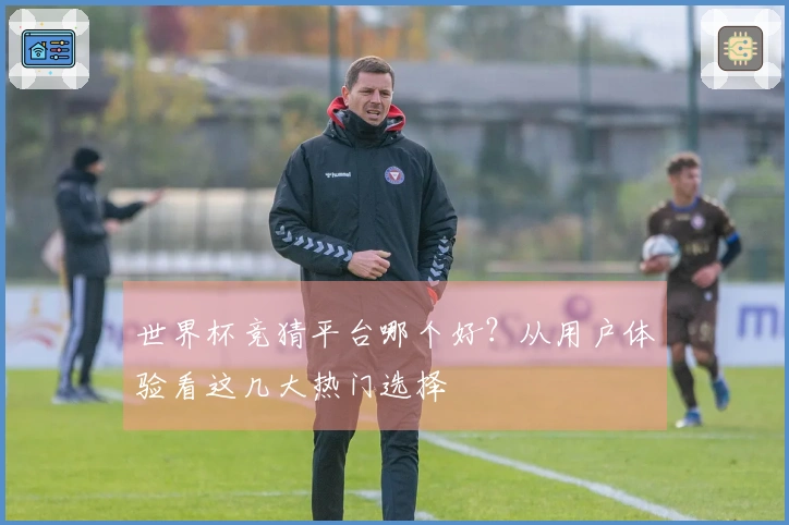 世界杯竞猜平台哪个好？从用户体验看这几大热门选择